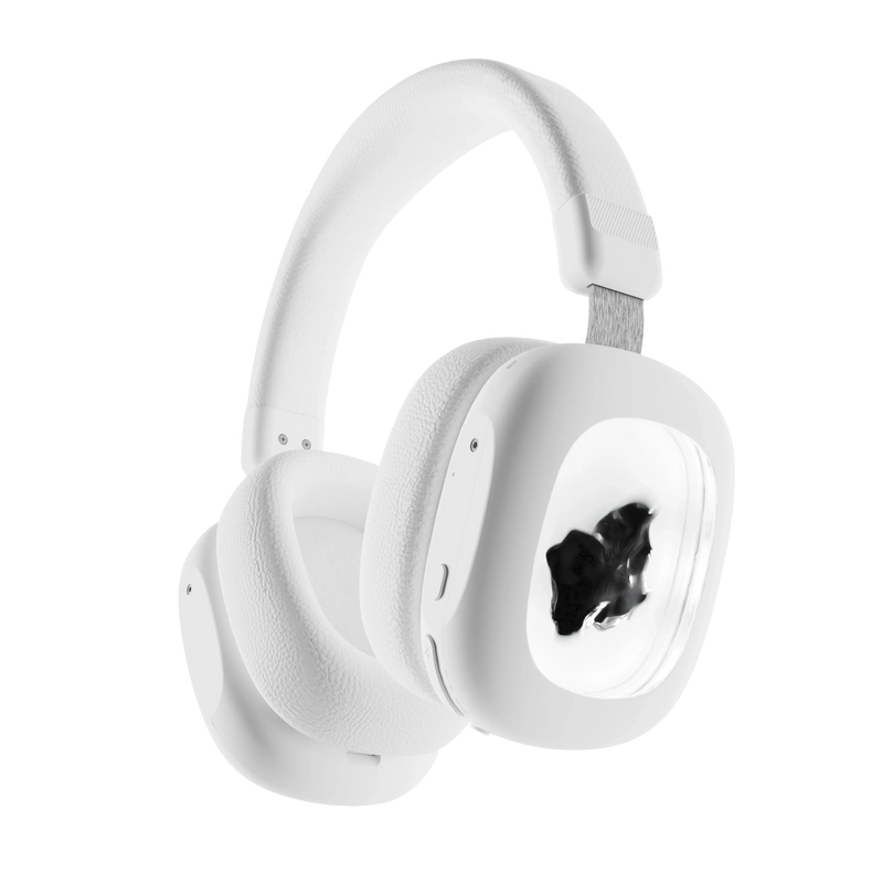 The World's FirstFerrofluid Headphones